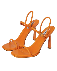 Steve Madden